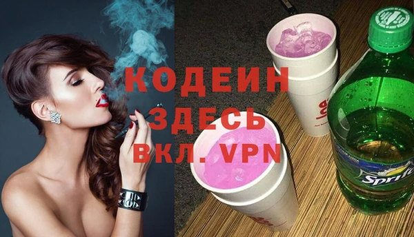 шишки Аша