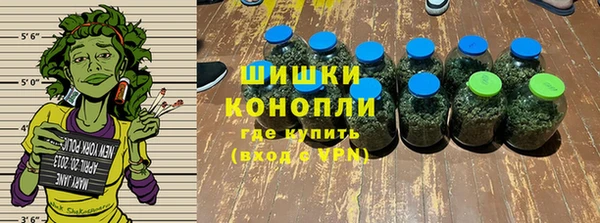 спиды Лиски