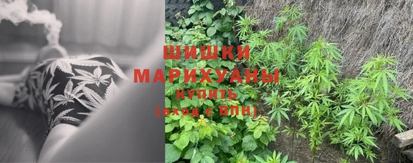 стаф Лихославль