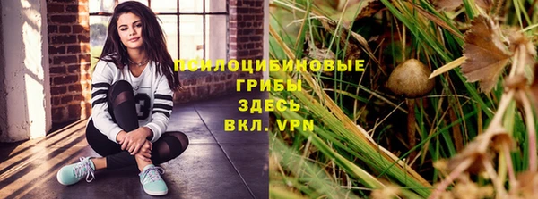 a pvp Бикин