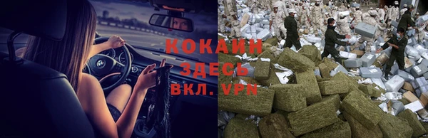 спиды Лиски
